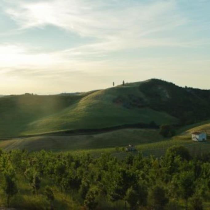 Poggio Ai Legni Villa Черталдо Екстериор снимка
